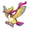 Mega Pidgeot